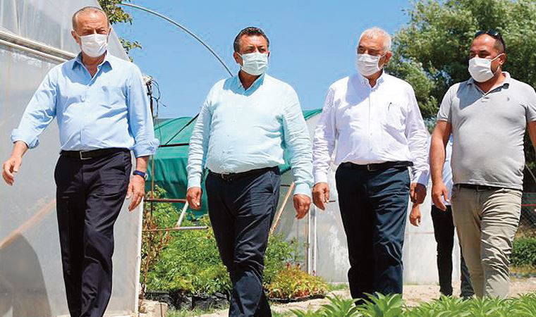 Didim'de 4 yılda 1 milyon çiçek üretildi