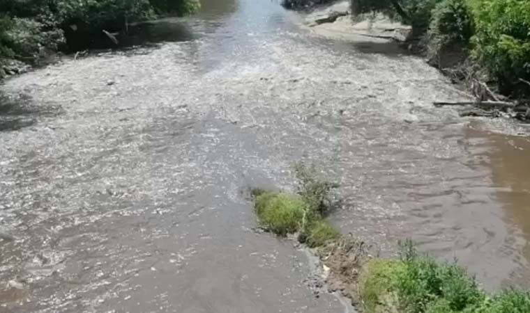 Marmara Denizi'ne dökülen Nilüfer Çayı, siyaha döndü: 'Artık bir el atın'