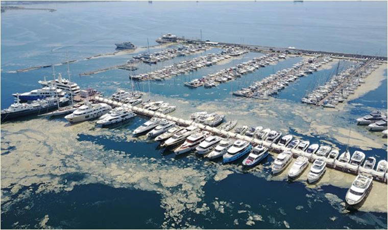 Adriyatik Denizi’nde 200 yıldır görülen deniz müsilajının görülme sıklığı katlanarak artıyor