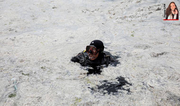 Deniz salyası: Uzmanlar müsilaj eylem planı hakkında ne diyor?