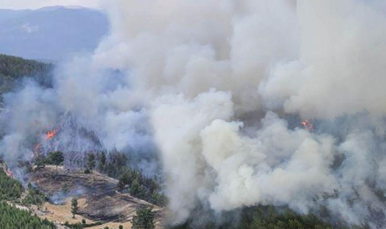 Tarladaki yangın ormana sıçradı: Ekiplerin zor anı