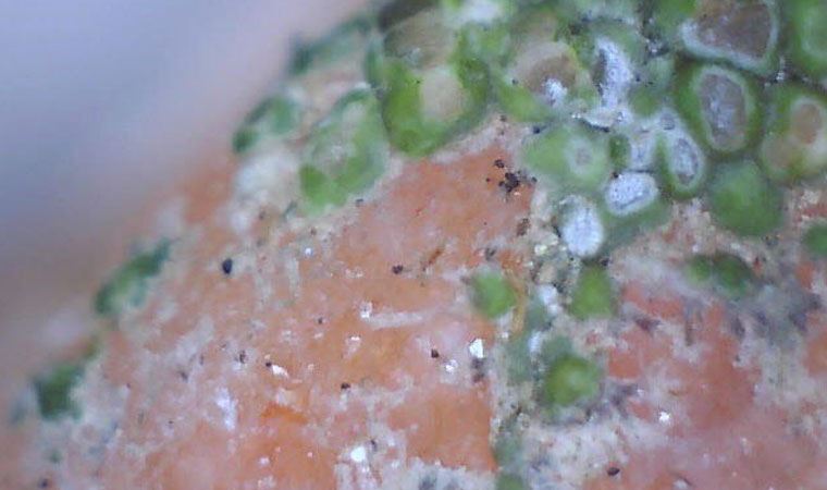 Şehrin altında hazine yatıyor