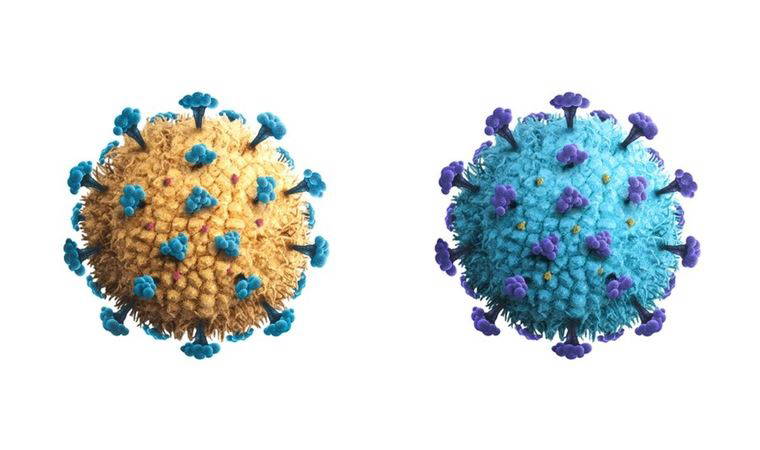 Belçika'da koronavirüsün iki ayrı varyantına aynı anda yakalanan kadın öldü