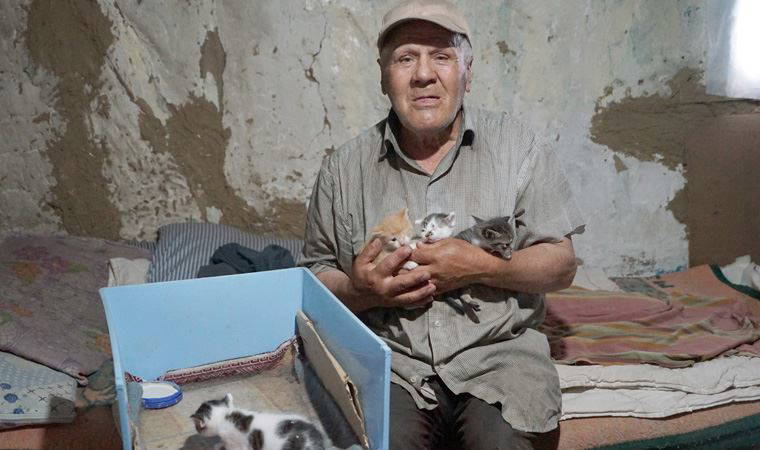 Barakada yaşıyor, bir lokma ekmeğini 36 kedi ile paylaşıyor: 'Artık bakamıyorum, yardım etsinler'