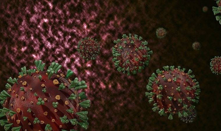 Prof. Dr. Akova: Delta varyantı ülkemizde de baskın hale gelecek