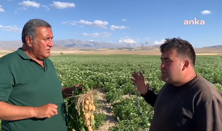 Niğdeli çiftçi isyan etti: Büyük şirketlere yalvarmak zorunda kaldık