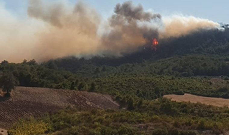 Son dakika: Bir orman yangını haberi de Osmaniye'den geldi