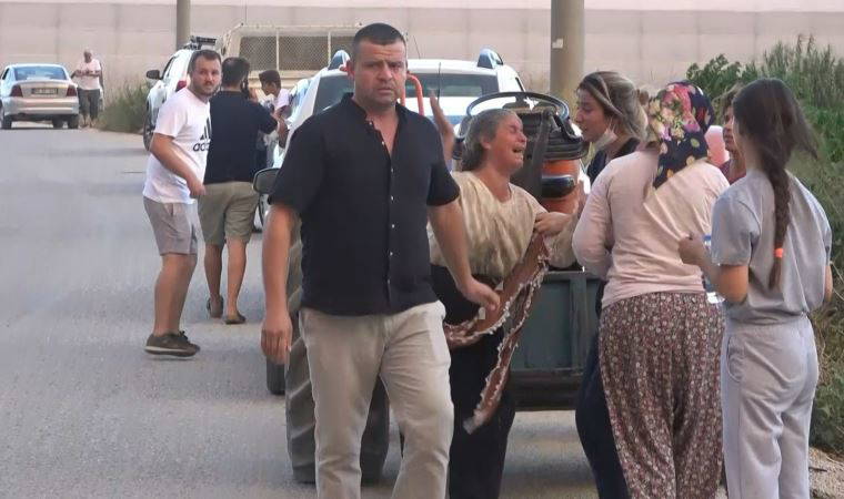 Serası ve ağaçları yanan kadın gözyaşlarına boğuldu