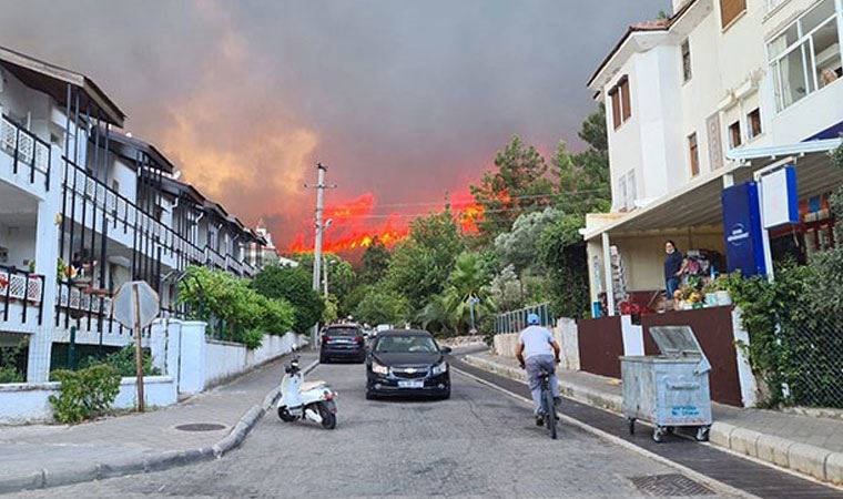 Türkiye'nin güneyi alevlere teslim! Bodrum ve Didim'de de yangın çıktı