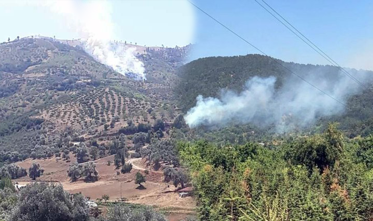 Ödemiş ve Kiraz'da orman yangını
