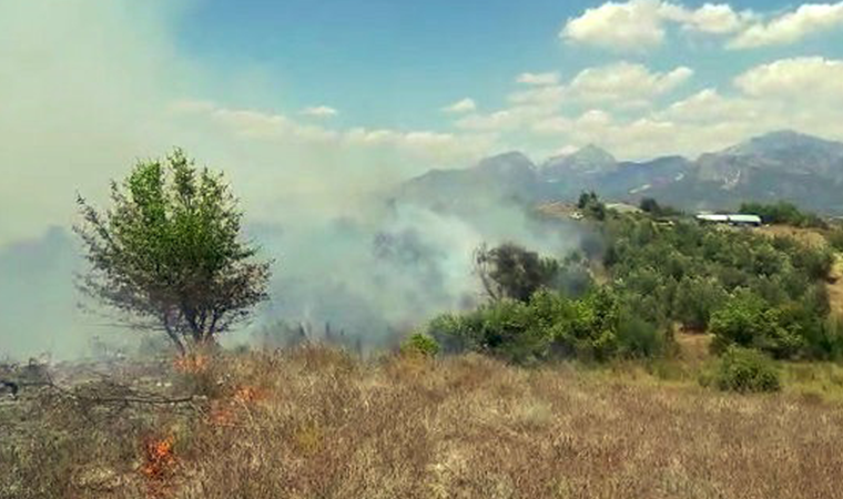 Antalya'da makilik alanda yangın