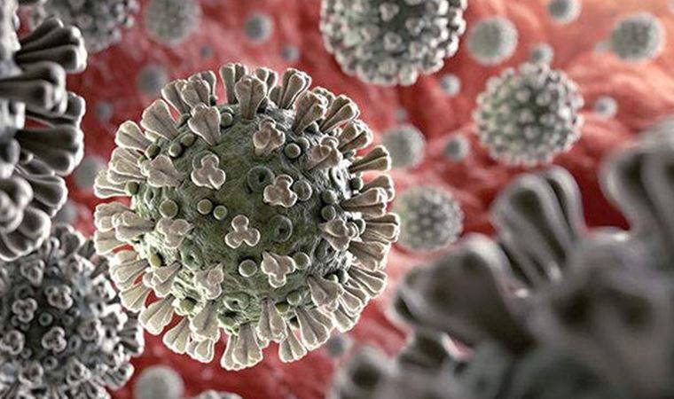 İkisi de resmen Türkiye'de: Delta varyantı ve Delta plus hakkında neler biliniyor?