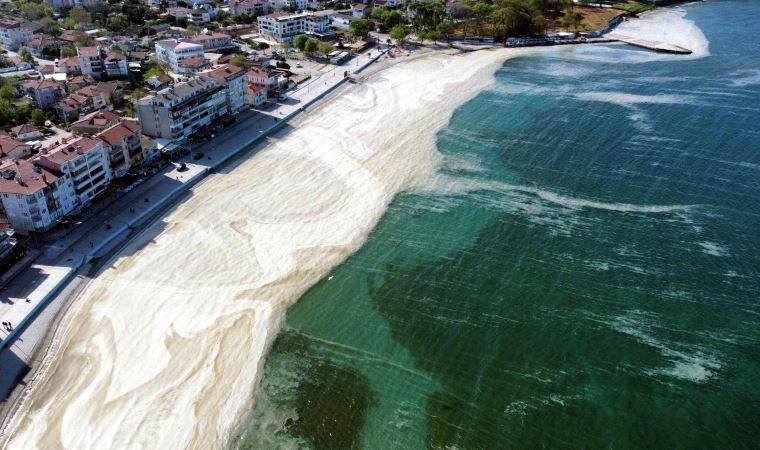 “Müsilaj mide, cilt ve vajinal enfeksiyonlara yol açabilir”