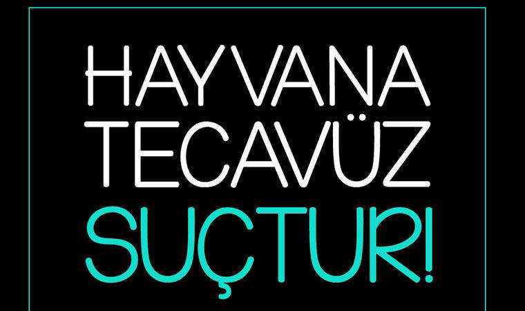 Köpeği istismar eden kişi serbest bırakıldı