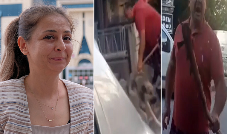 Sokak köpeğini besleyen hayvansevere sopalı tehdit
