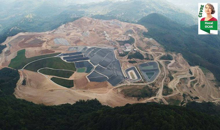 Ordu’nun doğal alanları madenciliğe açıldı: Bir kent talan ediliyor
