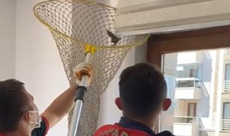 Isparta’da eve giren yarasayı itfaiye çıkardı