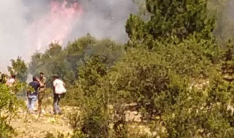 Son dakika... Denizli'de ormanlık alanda çıkan yangın kontrol altına alındı
