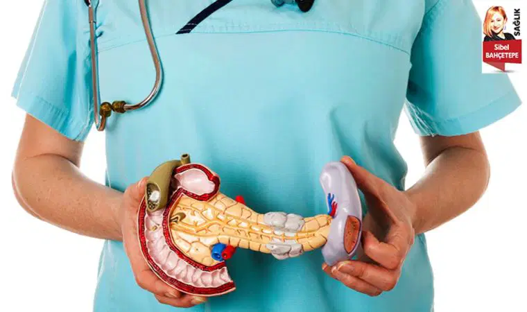 Pankreas hastalıklarında beslenme faktörünün etkili olduğu belirtildi