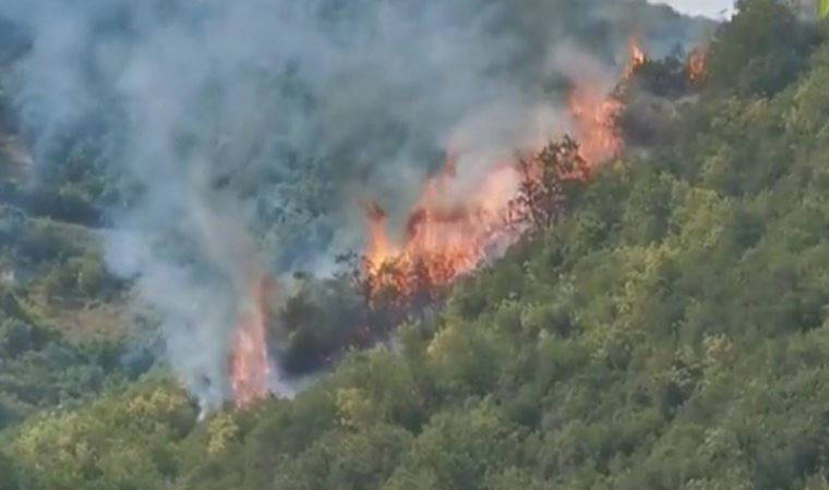 Son dakika: İstanbul'da orman yangını