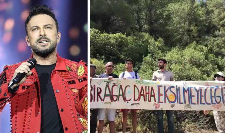 Tarkan'dan Akbelen Ormanı'ndaki çevre katliamına tepki: Rahat bırakın doğayı artık!
