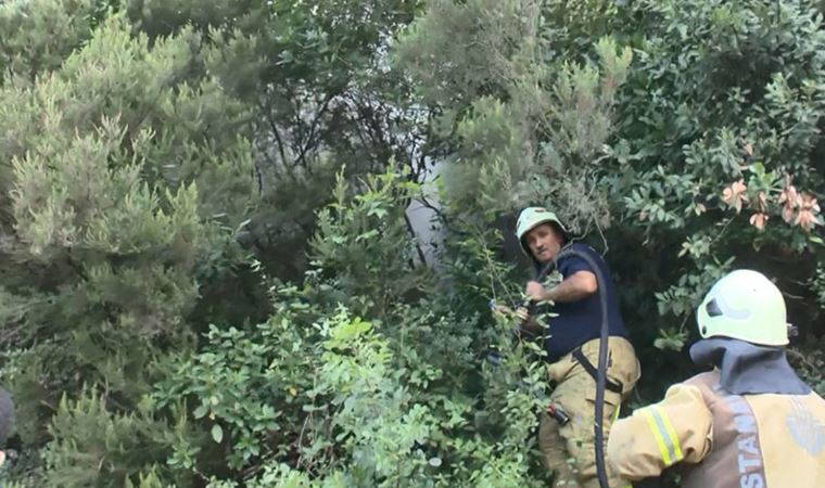 Sarıyer'de yangın paniği