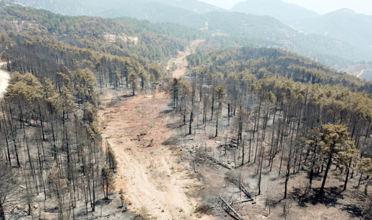 Köyceğiz'deki orman yangını kontrol altına alındı (12.08.2021)