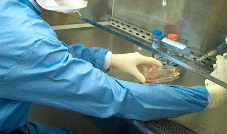 İlaç devi Bayer davayı kaybetti: Kansere yol açıyor