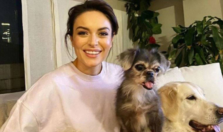 Ezgi Mola'nın acı günü: Köpeği Suşi yaşamını yitirdi