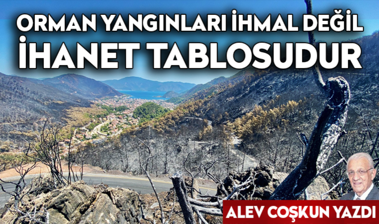 Orman yangınları ihmal değil, ihanet tablosudur