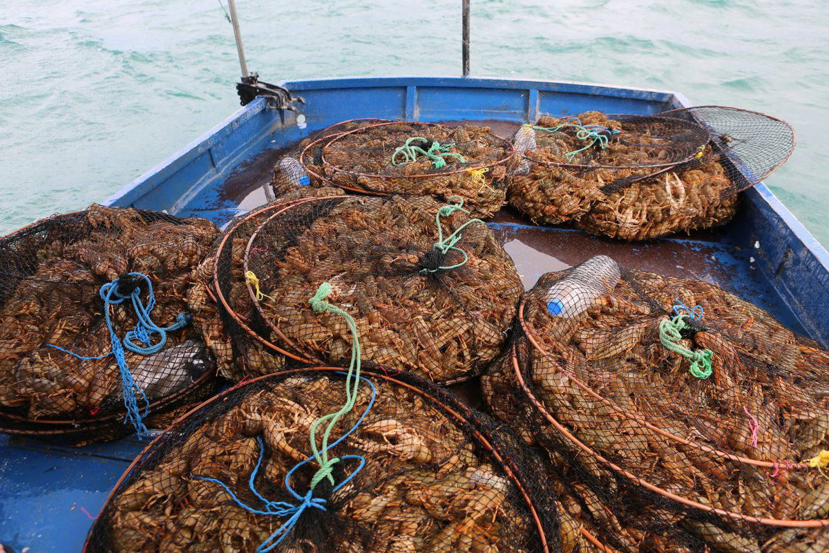 Salgını fırsata çevirdi: Ayda 100 bin TL kazanıyor