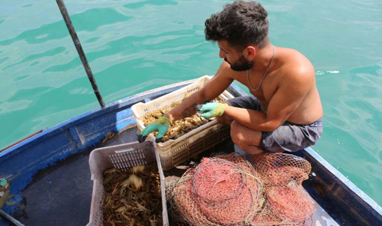 Salgını fırsata çevirdi: Ayda 100 bin TL kazanıyor