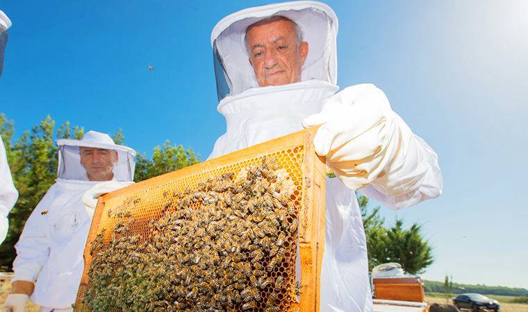 Bal Merası’nda ilk üretim