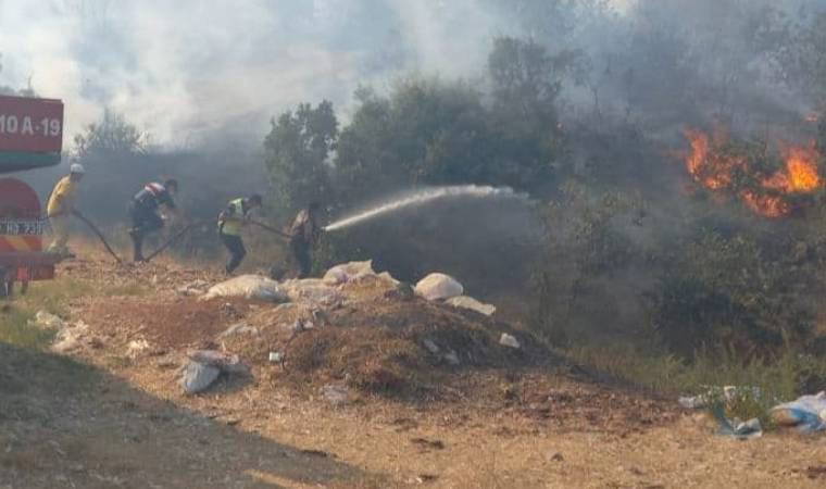 Balıkesir'de orman yangını (02.08.2021)