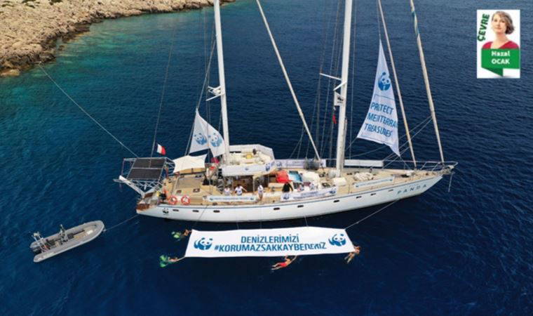 Hayalet ağlar denizleri çölleştiriyor