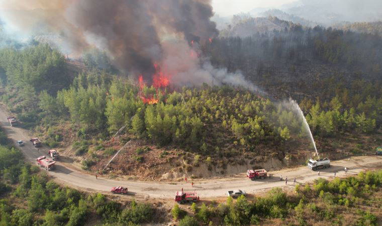 Orman Bölge Müdürü: Manavgat'taki yangında dumanın ısıttığı yer yanmaya başladı