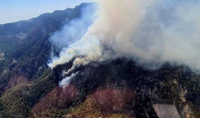 Son dakika... Muğla Köyceğiz'de orman yangını başladı
