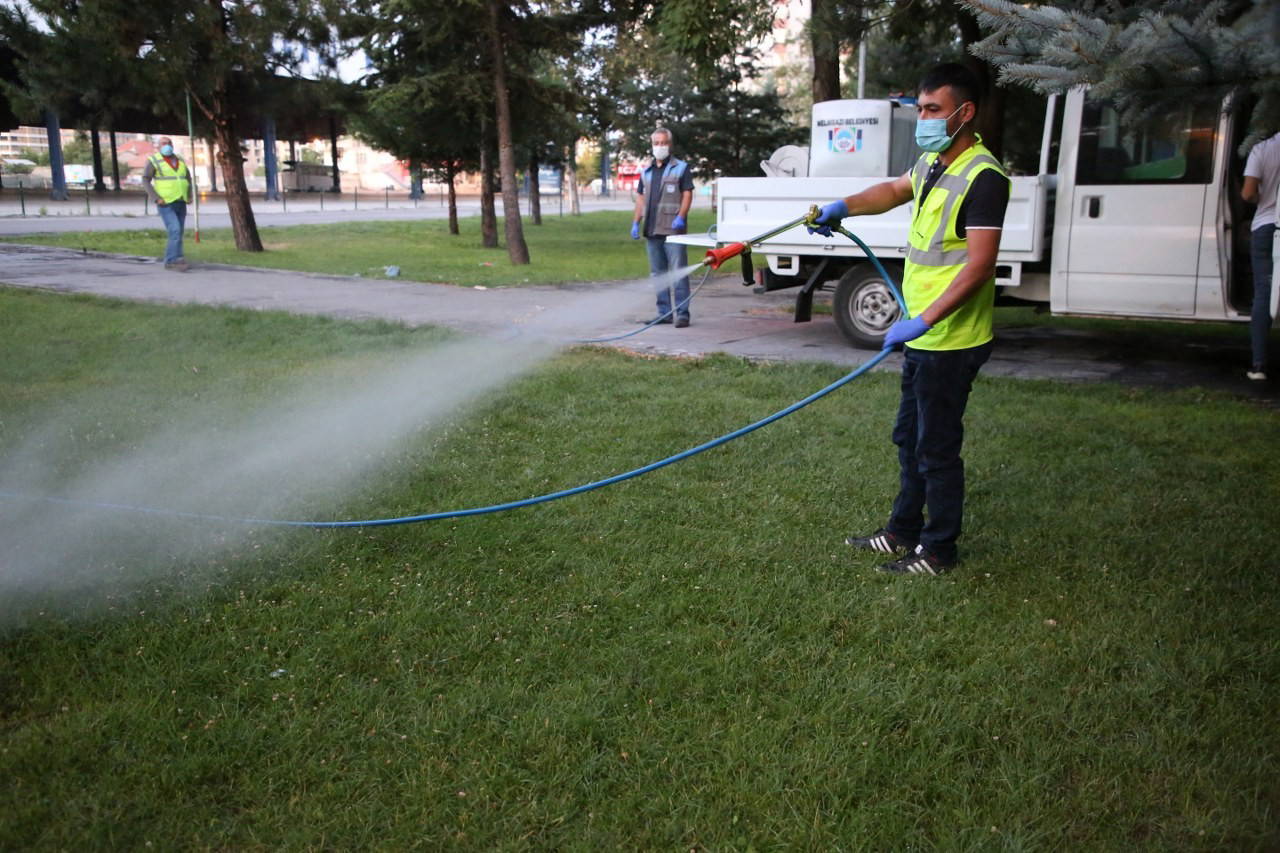 İstanbul'da görülen Asya kaplan sivrisineği 'yerleşik türler' arasına girdi