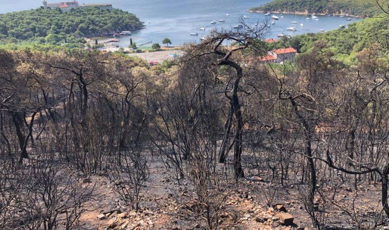 Heybeliada'da soğutma çalışmaları devam ediyor