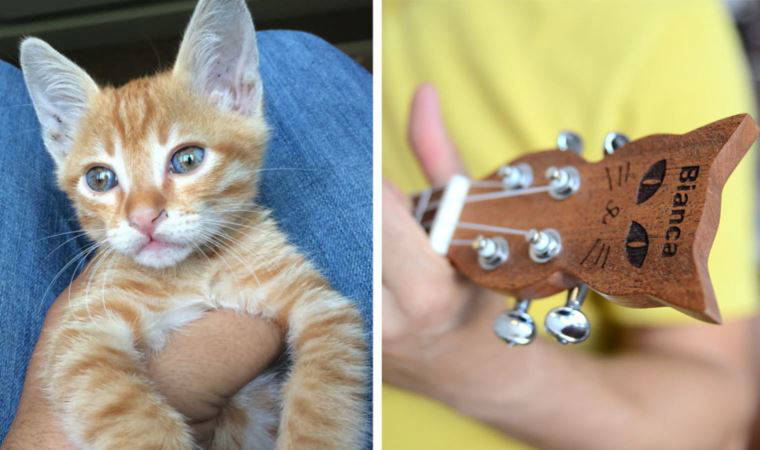 Kaybolan kedisinin anısına özel tasarımlı ukulele üretti