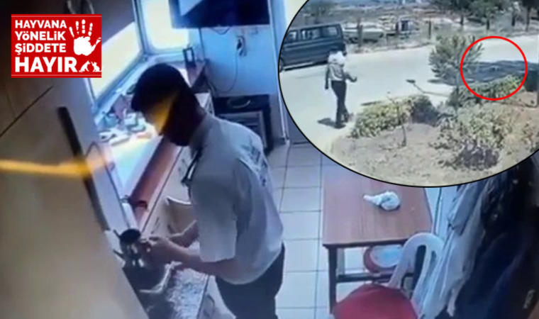 Güvenlik görevlisi ocakta ısıttığı sıcak suyu, köpeğin üzerine böyle döktü