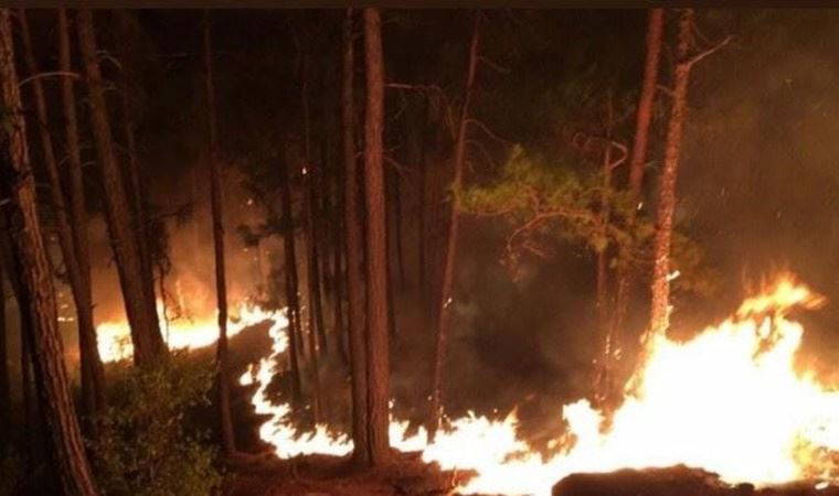 Milas'taki yangında 3'üncü gün; havadan müdahale yeniden başladı