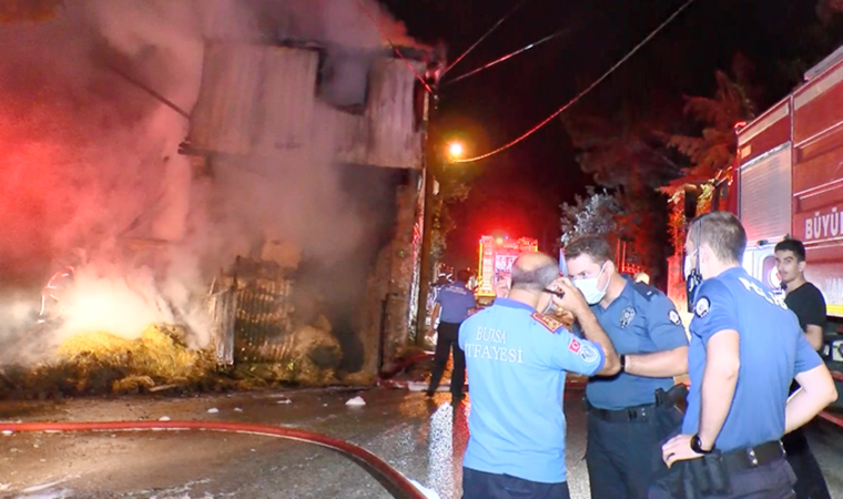 Bursa'da ormanın 6 farklı noktasında ve samanlıkta eş zamanlı yangın