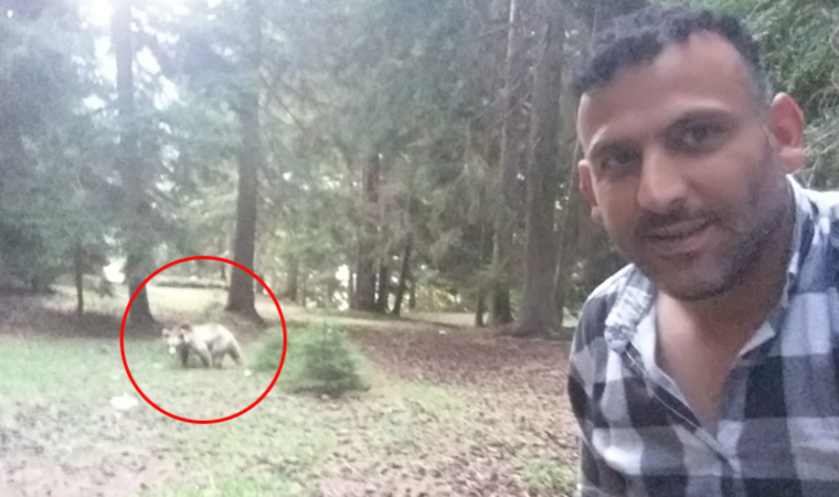 Ormanda karşılaştığı ayı ile selfie yaptı