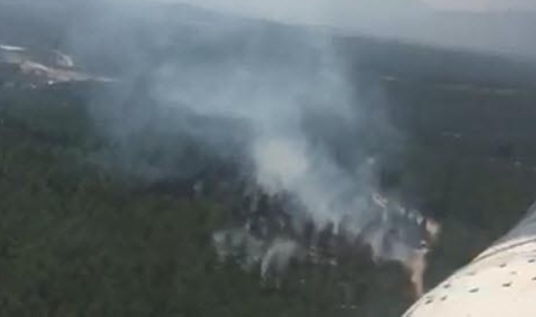 Manisa'nın Akhisar ilçesinde orman yangını