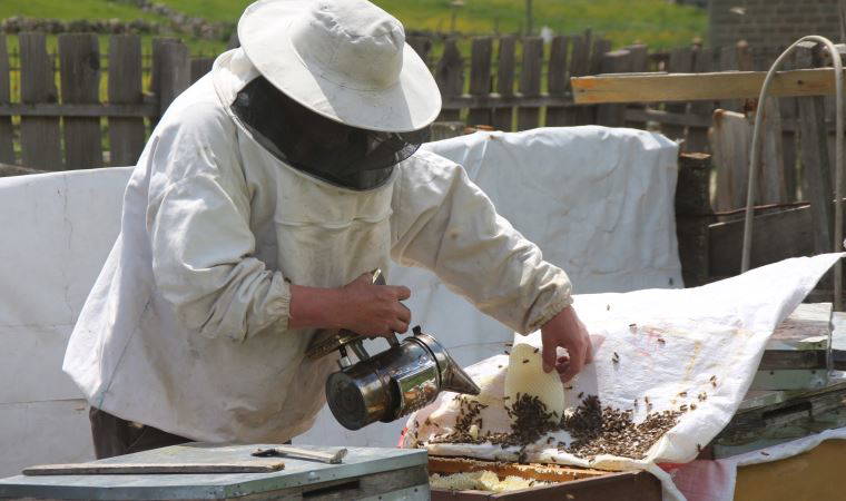 Anzer balının kilosu 1200 TL oldu