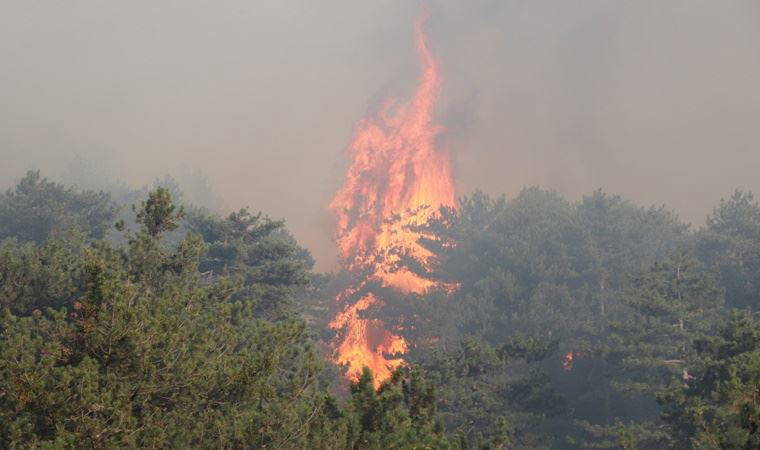 Denizli'deki orman yangınları kontrol altına alındı