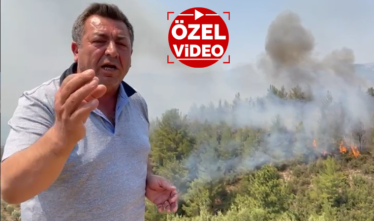 CHP'li vekil çileden çıktı: Bu bir çaresizlik! Orman Bakanı nerede?