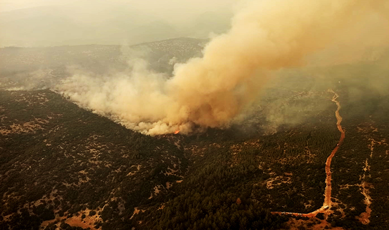 Muğla yangınlarında 9’uncu gün! Yangınlar devam ediyor