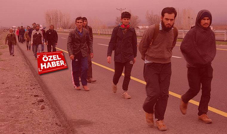 Afgan göçmenler arasında neden kadın ve çocuk yok?